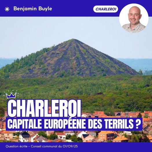 Charleroi : capitale européenne des&nbsp;terrils